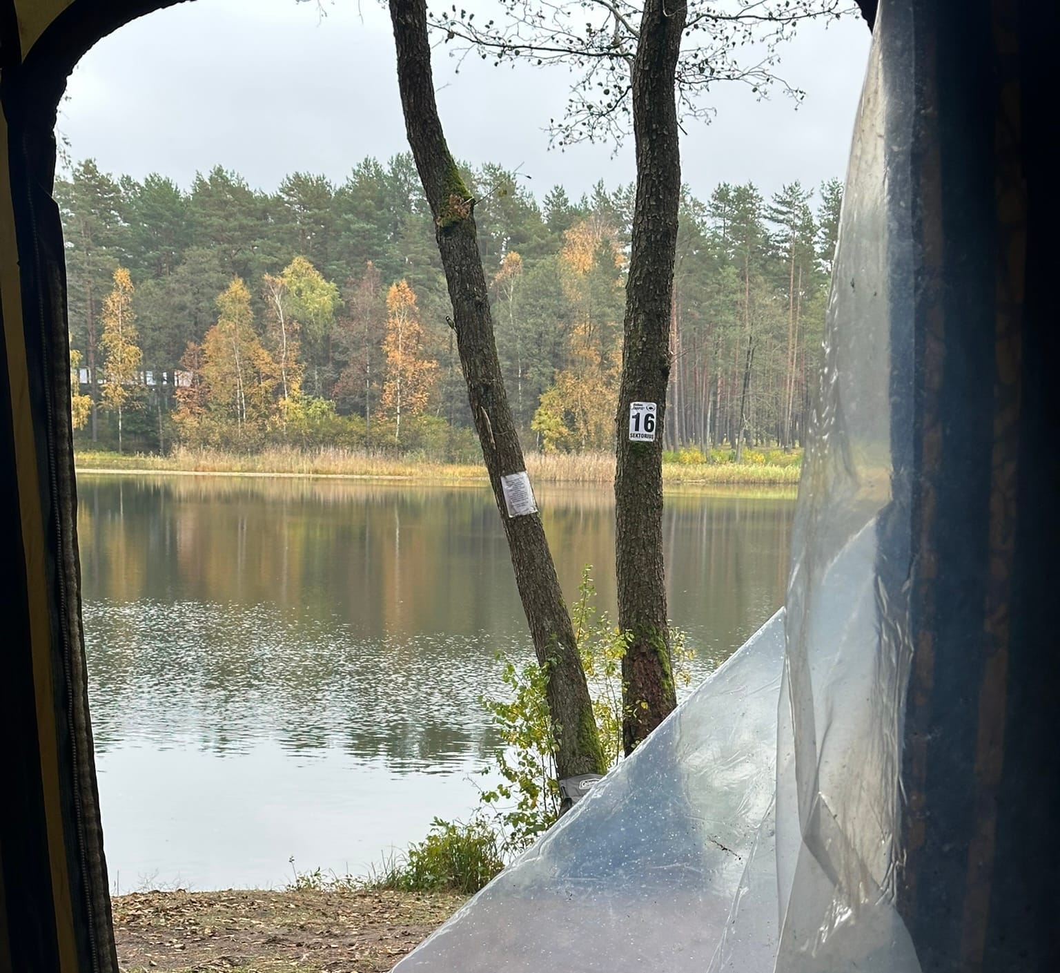 📍Ilgio Ežeras. 16 sektorius. Apžvalga