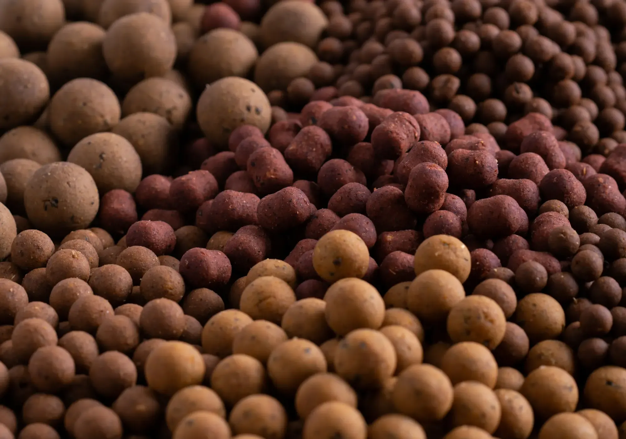 ABC | Boilis – nuo tešlos iki revoliucijos