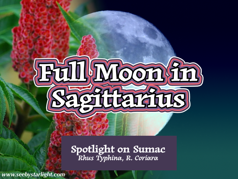 Full Moon in Sagittarius! Spotlight on Sumac