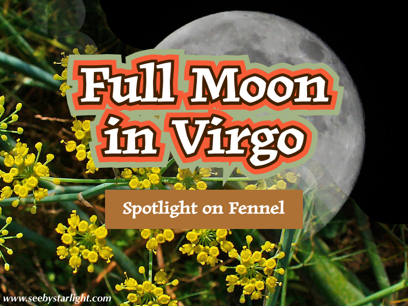Full Moon in Virgo— Spotlight on Fennel