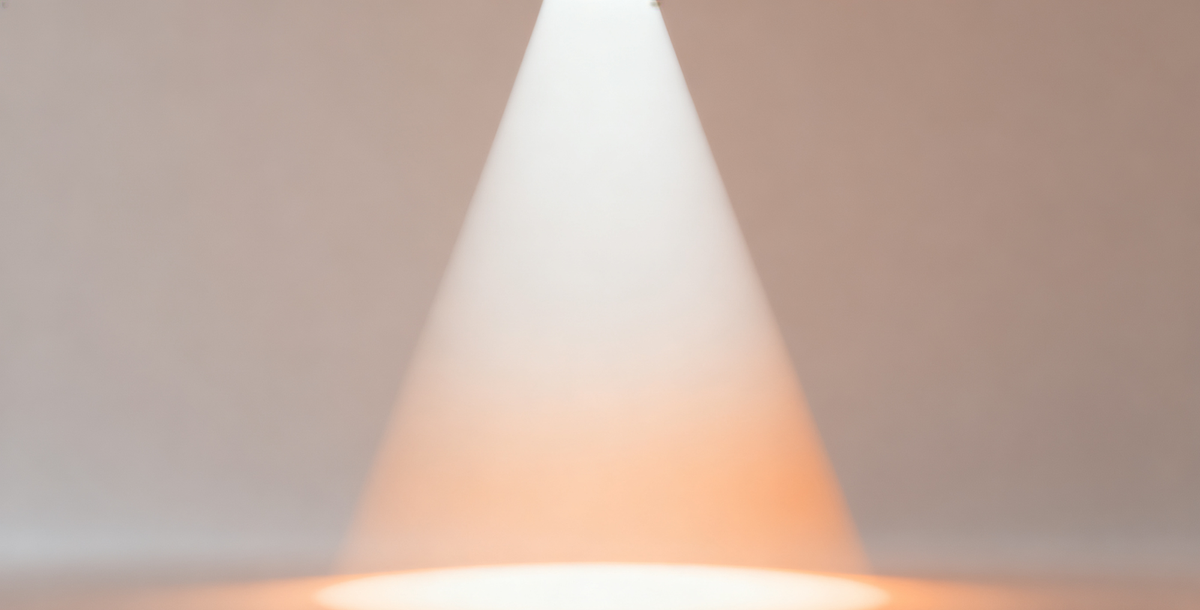 Chapter 14 : Apologies in Public