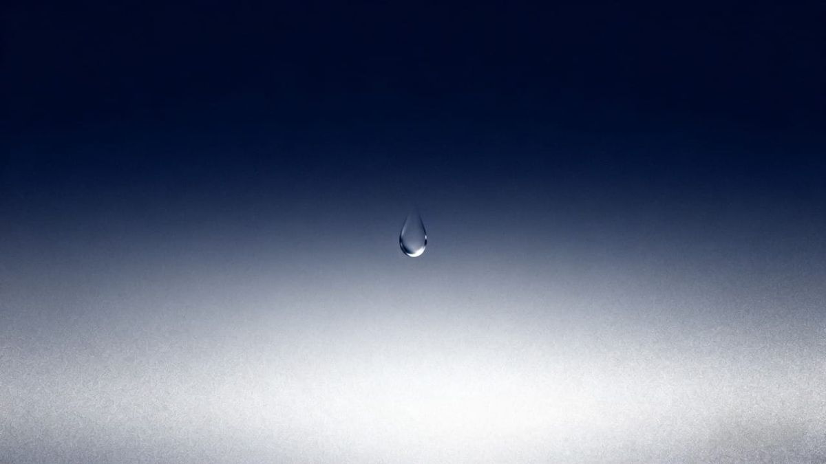 Chapter 5 : The Breakdown