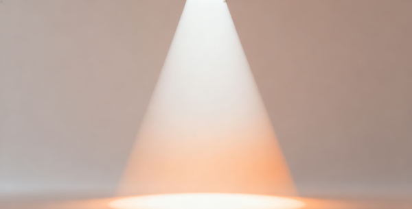 Chapter 14 : Apologies in Public