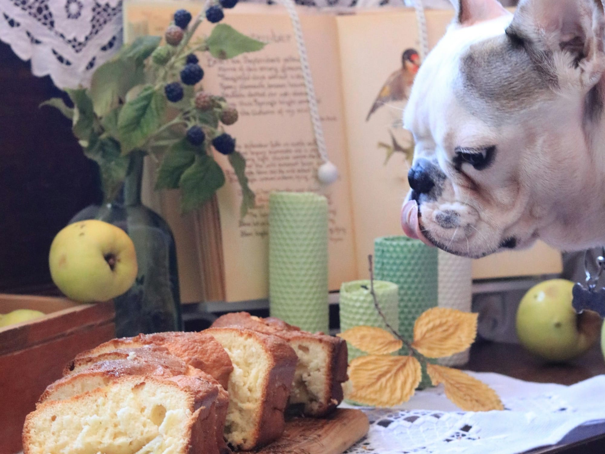 a cat licking a loaf of bread