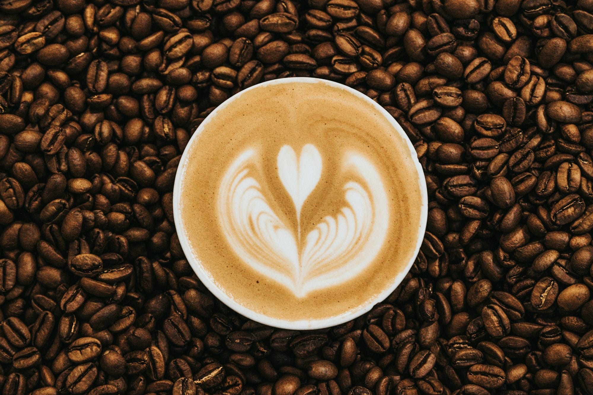 Is Caffeine Toxic to Pets?