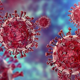 Scientists Study Viruses As Cancer Weapon