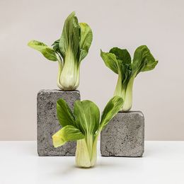 Eight Easy Ways to Eat Better—and Feel Great