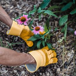 Herbal Supplements: Lies the Medical Establishment Hopes You'll Believe