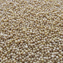 Could Soy Help Lower Your Blood Pressure?