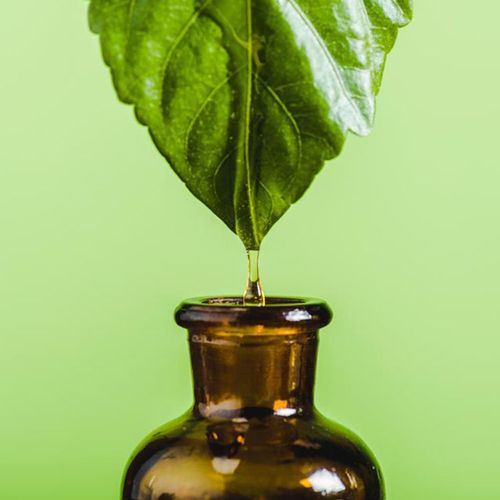 Group Calls for Tougher Oversight of Alternative Medicine