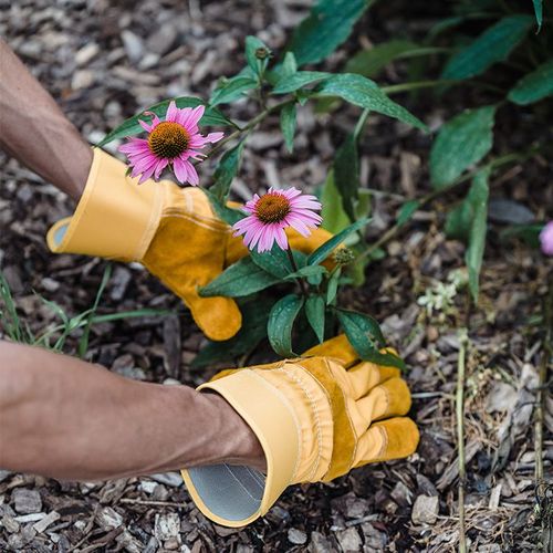 Herbal Supplements: Lies the Medical Establishment Hopes You'll Believe