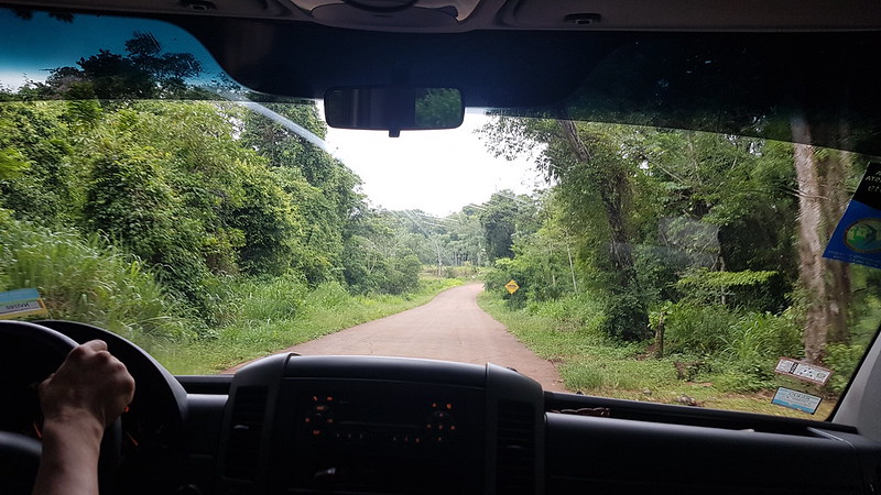 Iguazú on the road to the hotel