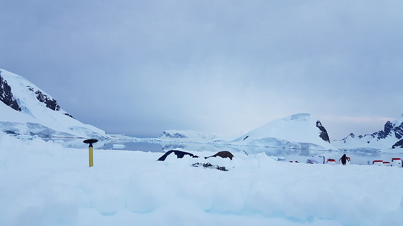 2019:11:29 03:06 Kerr Point / Ronge Island