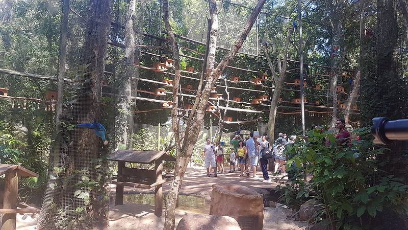 Iguaçu Parque Das Aves