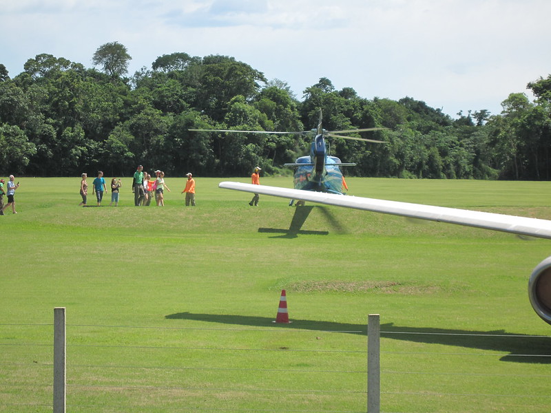 Iguaçu Parque Das Aves