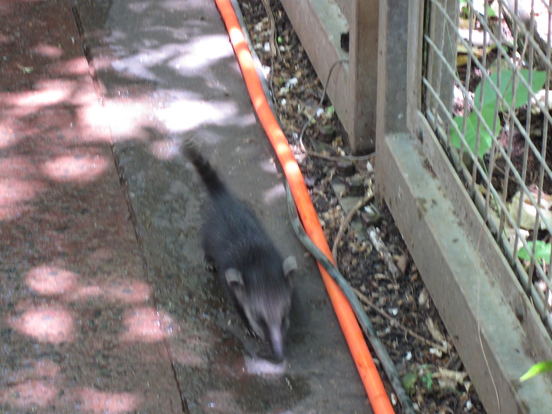 Argentinian Iguazú Falls