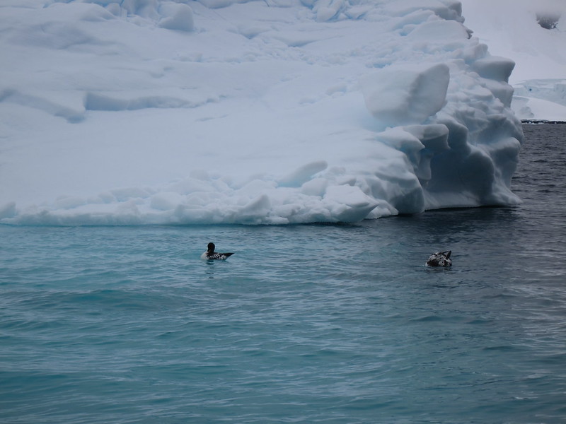 Almirante Brown Base