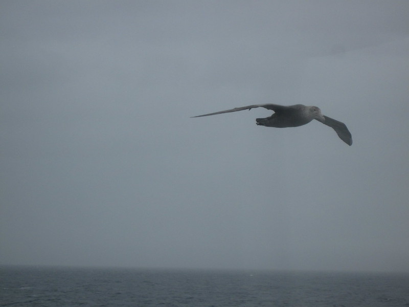 Flyby - Drake Passage Return Day 2