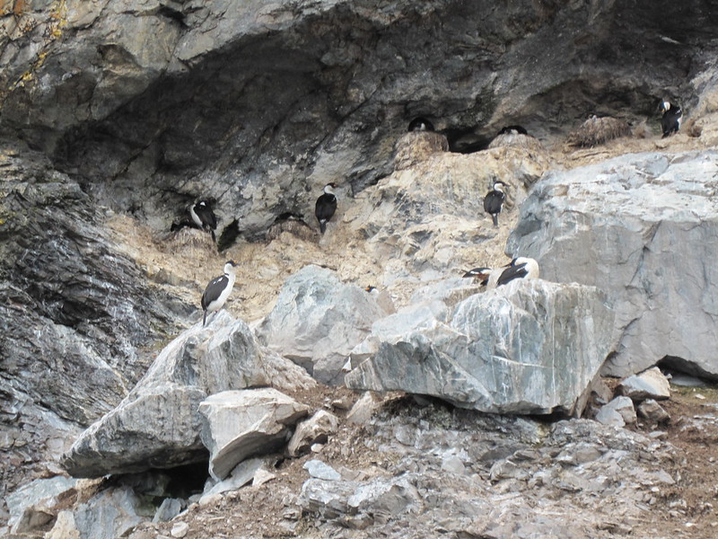 Almirante Brown Base