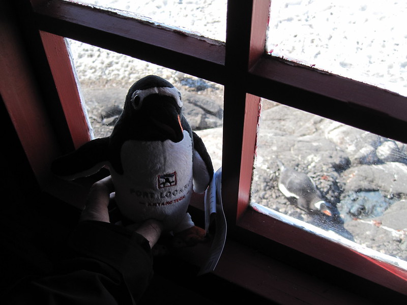 Lockie's bid for freedom