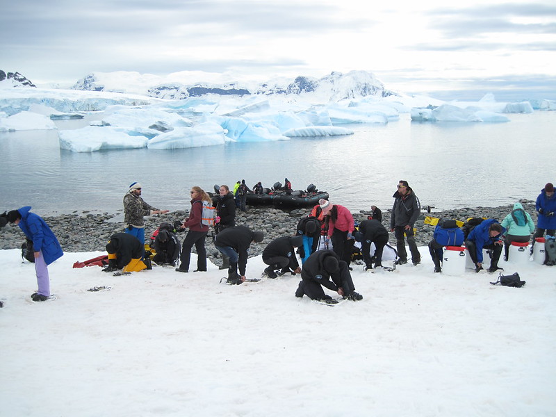 Getting to grips with snow shoes, Cuverville Island