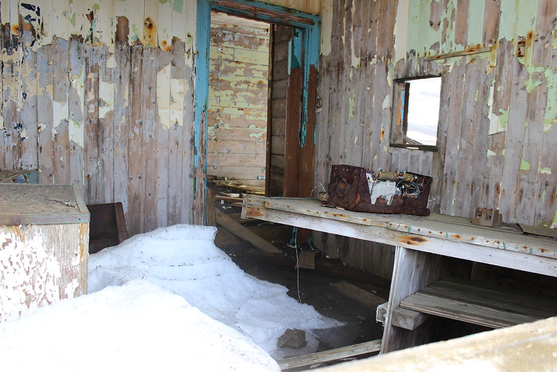 Deception Island - Whalers Bay