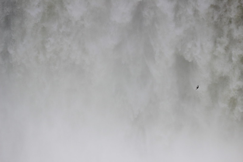 Argentinian Iguazú Falls