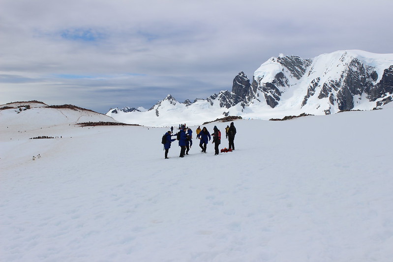 Heading for a penguin colony, Cuverville Island