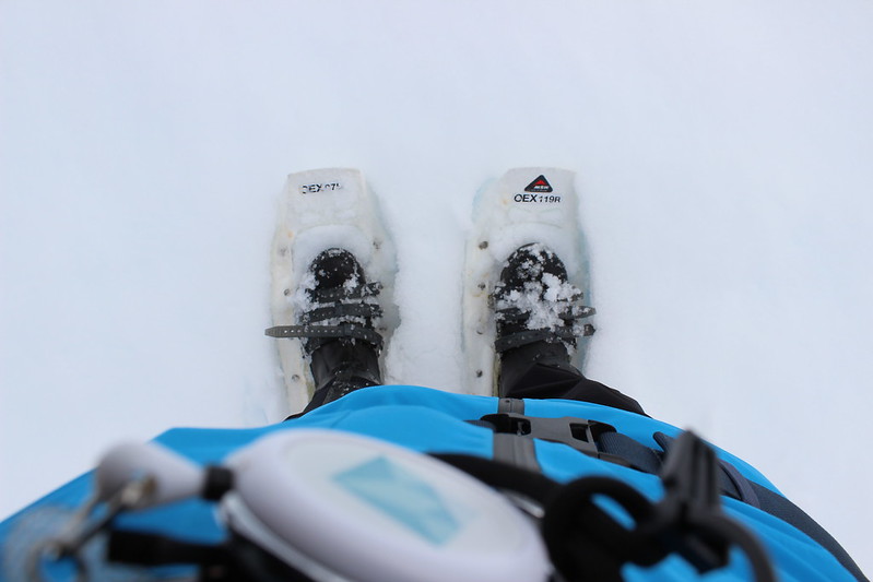 Supplied snow shoes