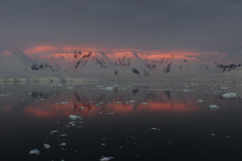 Neumayer channel / Damoy Point