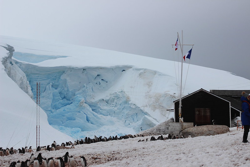 Gonzalez Videla Station