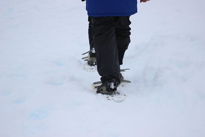 Almirante Brown Base