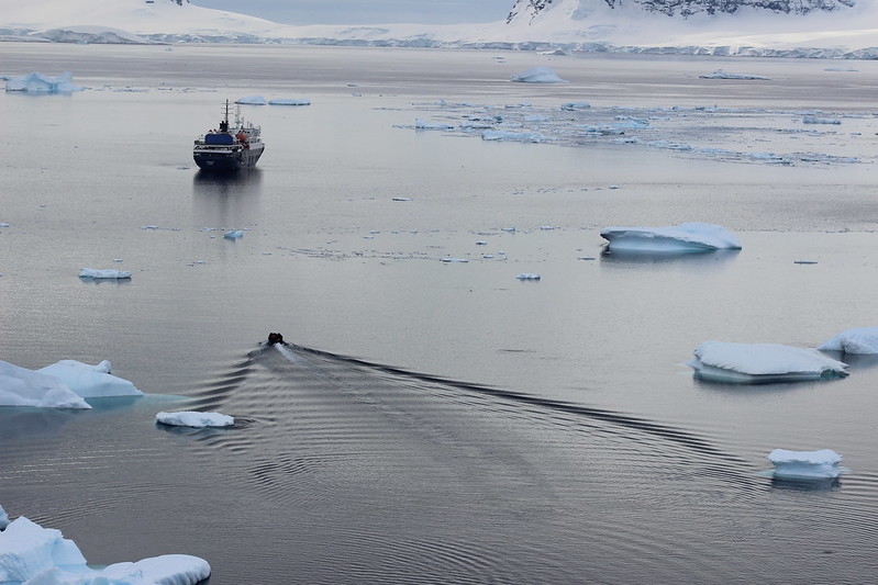 Thankfully not the last boat back, Cuverville Island