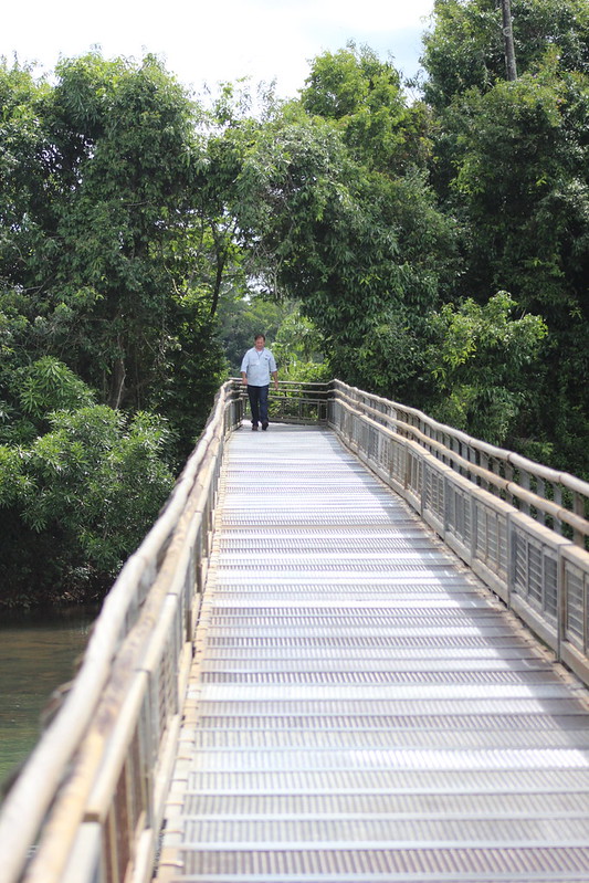 Argentinian Iguazú Falls