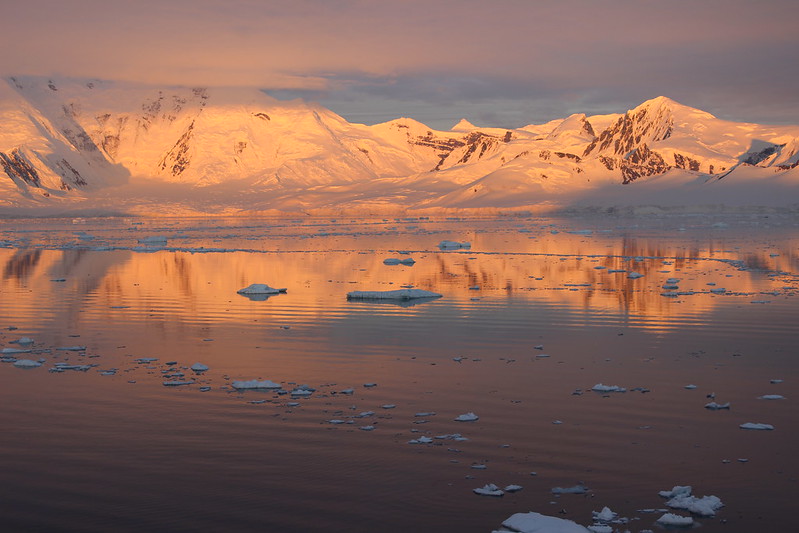 Neumayer channel / Damoy Point
