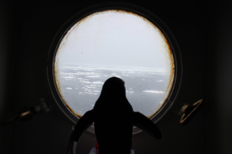 Lockie surveys Lemaire Channel