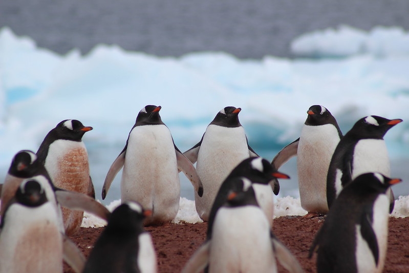 Gonzalez Videla Station