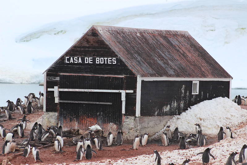 Gonzalez Videla Station