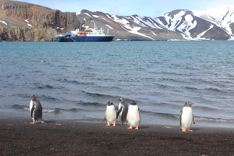 Deception Island - Whalers Bay