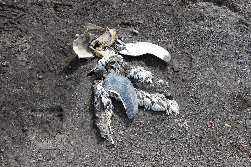Deception Island - Whalers Bay