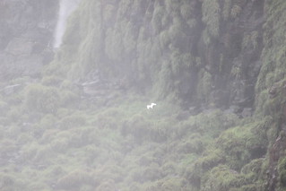 Brazilian Iguaçu Falls