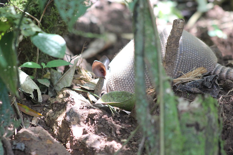 Argentinian Iguazú Falls