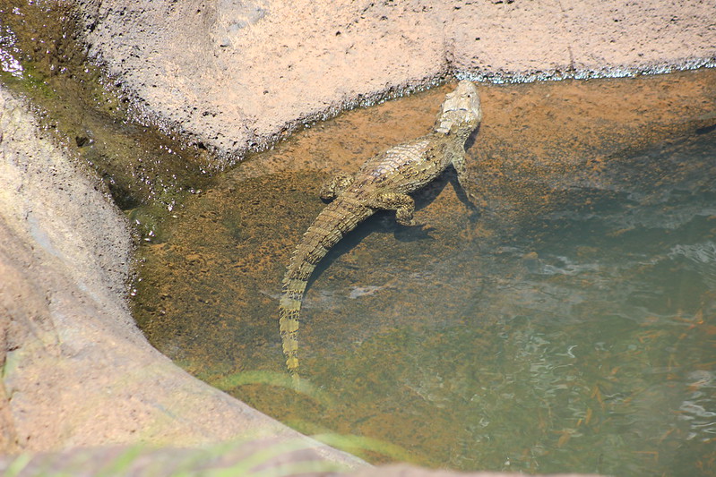 Argentinian Iguazú Falls