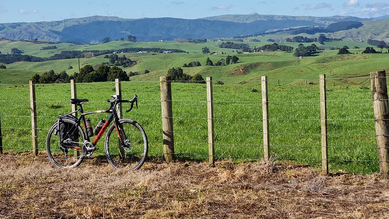 Raglan Karioi Pipiwharauroa Trail Ride