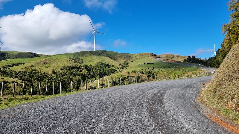 Raglan Karioi Pipiwharauroa Trail Ride