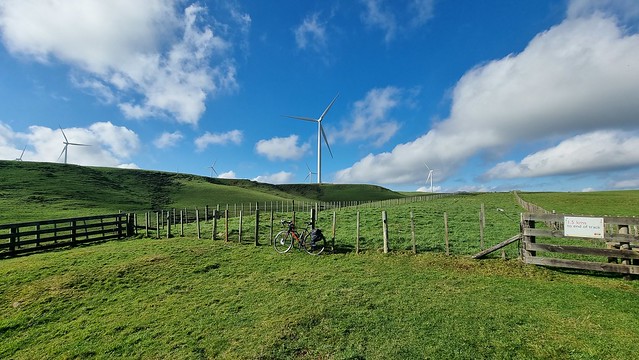 Raglan Karioi Pipiwharauroa Trail Ride