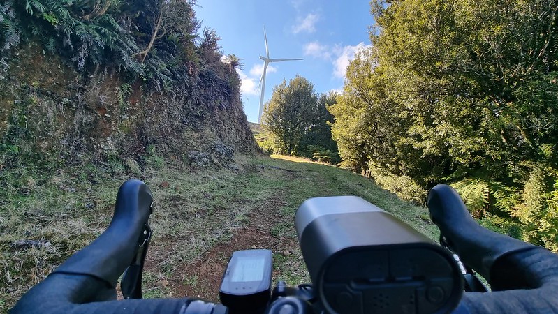 Raglan Karioi Pipiwharauroa Trail Ride