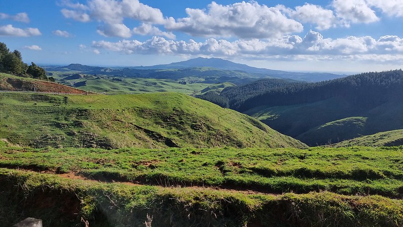 Raglan Karioi Pipiwharauroa Trail Ride