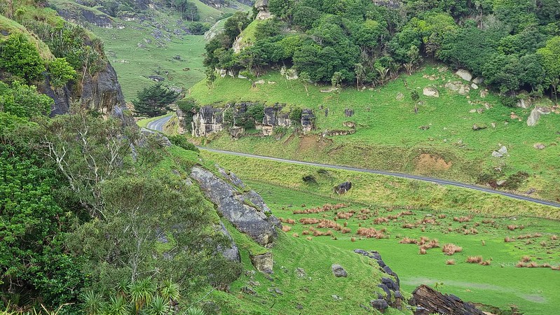 Waikawau Stream Valley, Limestone Downs