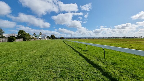 Avondale Racecourse